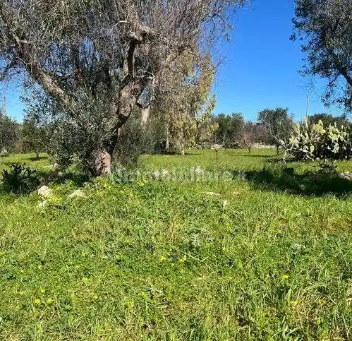 Rustico - Casale in vendita a Carovigno