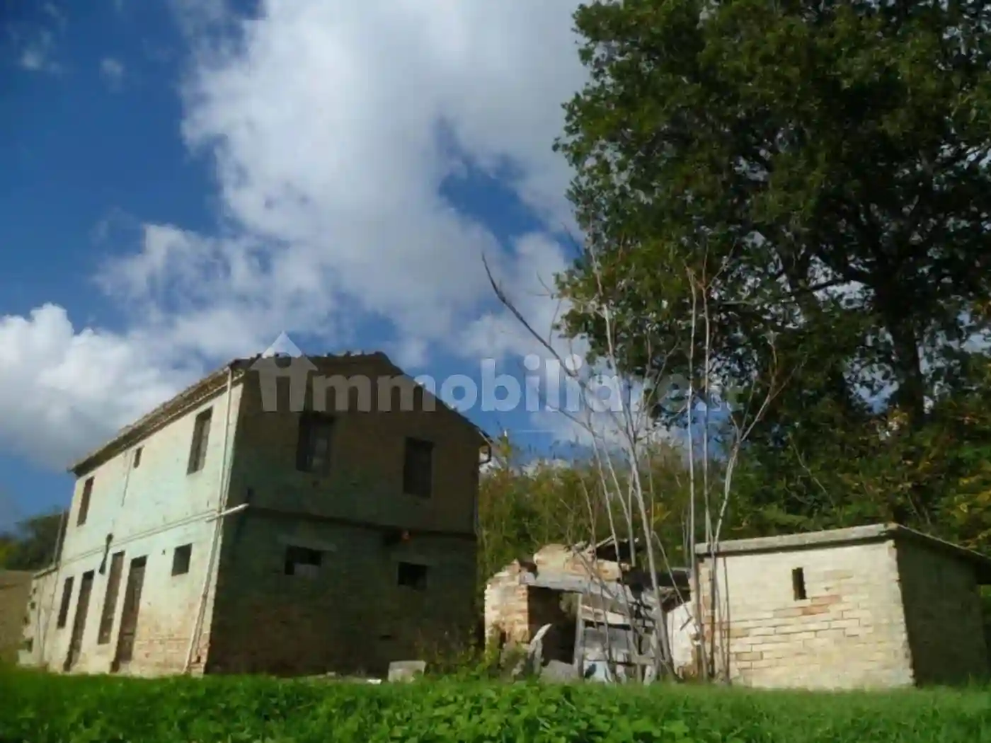 Rustico - Casale - foto 5