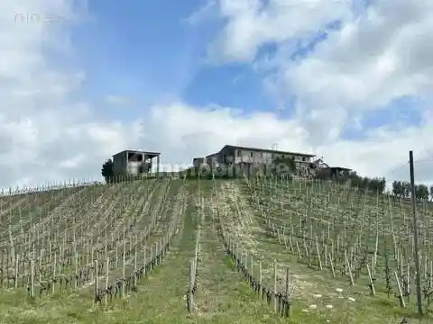 Rustico - Casale in vendita a Castignano