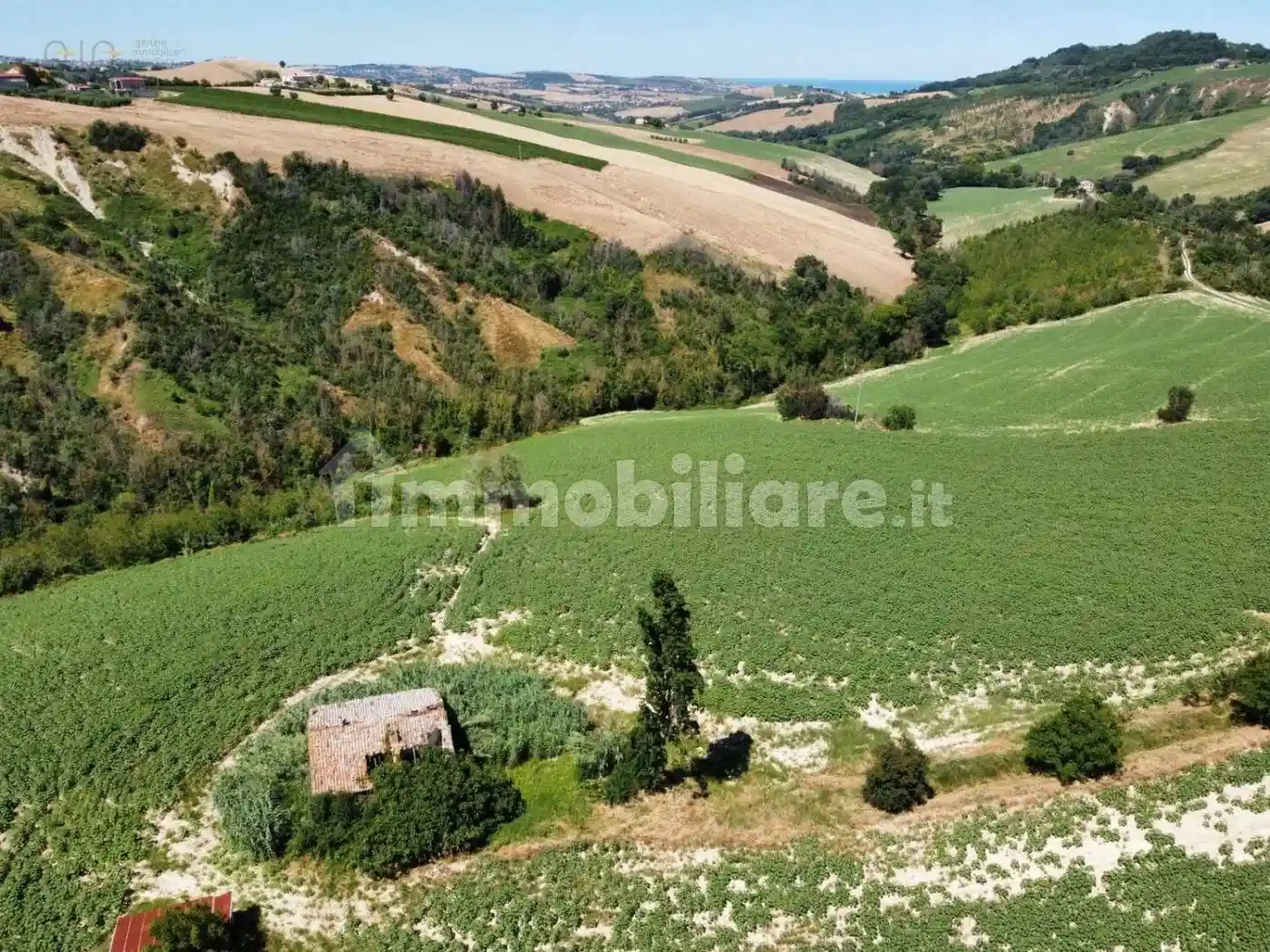 Rustico - Casale in vendita a Monterubbiano