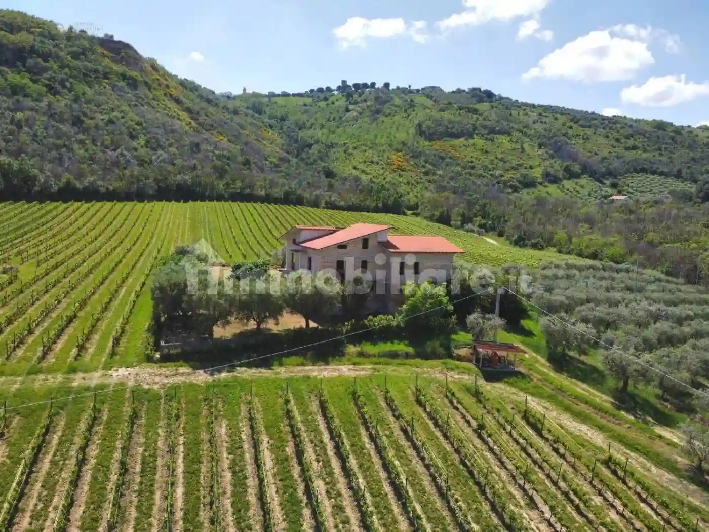 Rustico - Casale - foto 5
