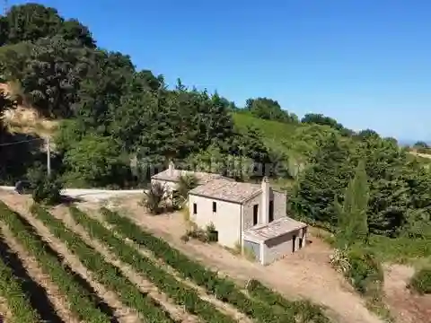 Rustico - Casale - foto 4