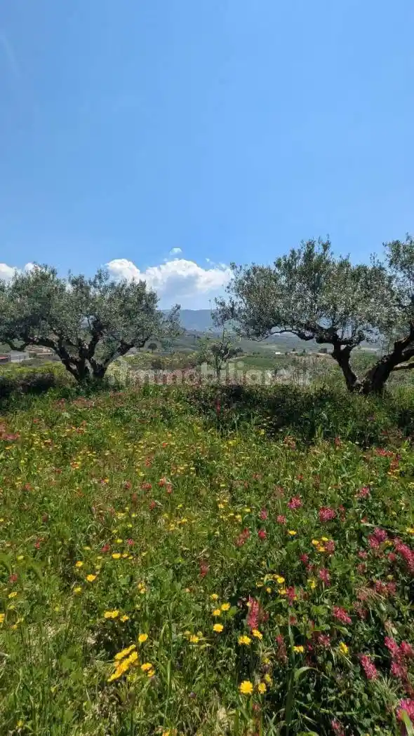 Rustico - Casale in vendita a Sambuca di Sicilia