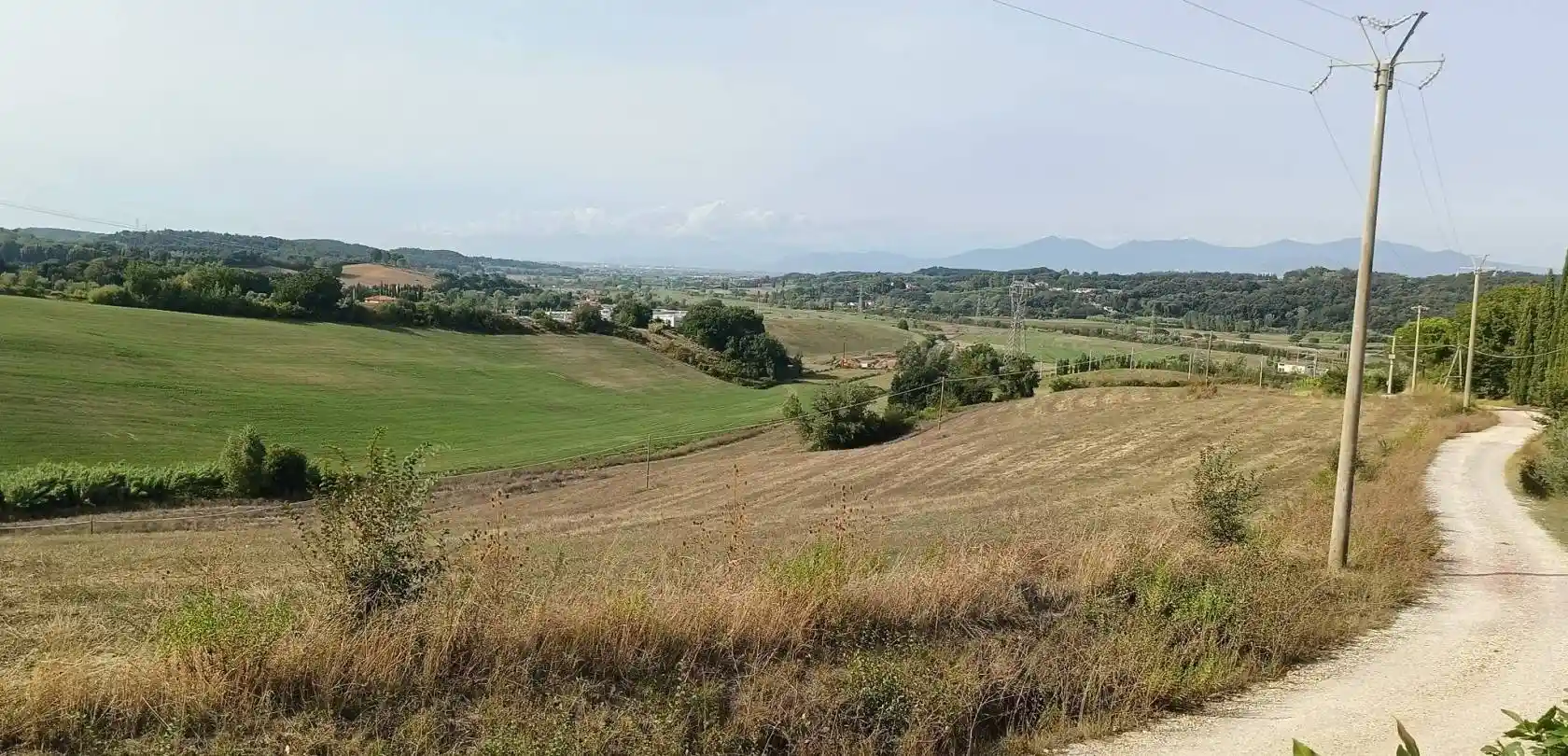 Rustico - Casale in vendita a Fauglia