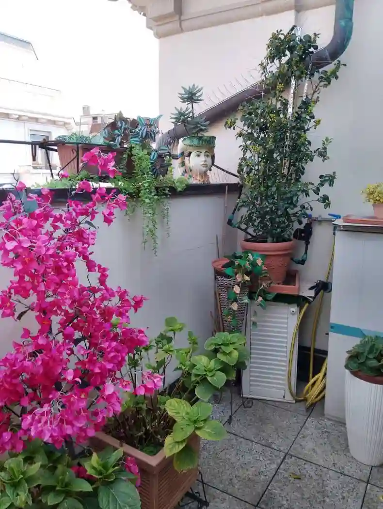 Attico - Mansarda - foto 3