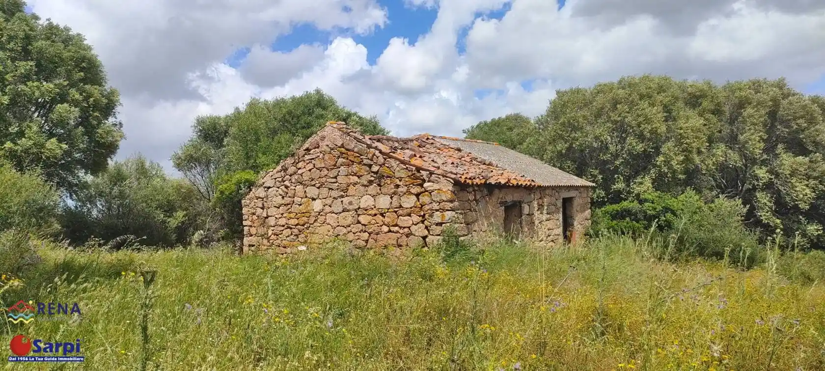 Rustico - Casale in vendita a Luogosanto