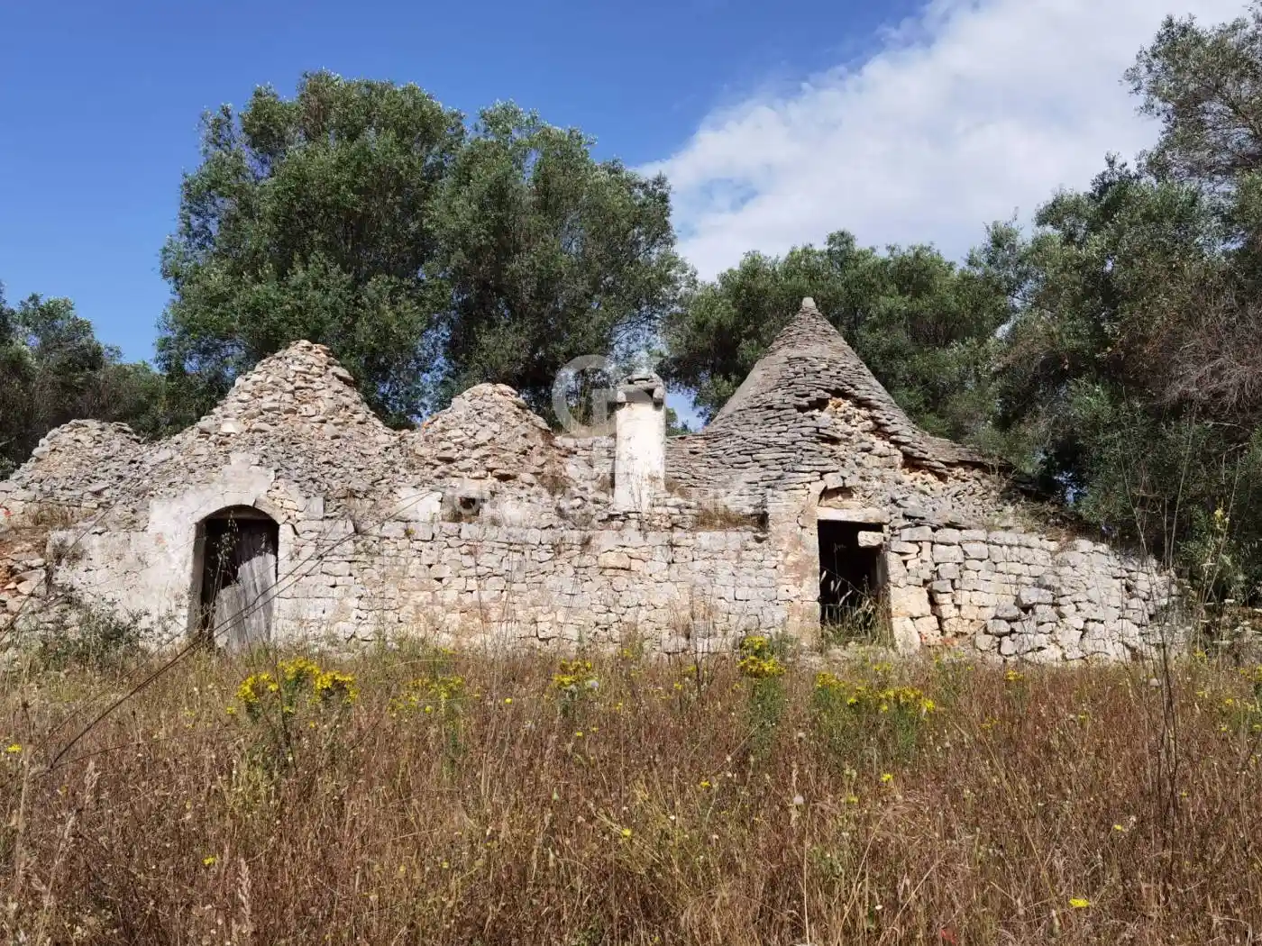 Rustico - Casale in vendita a Ceglie Messapica