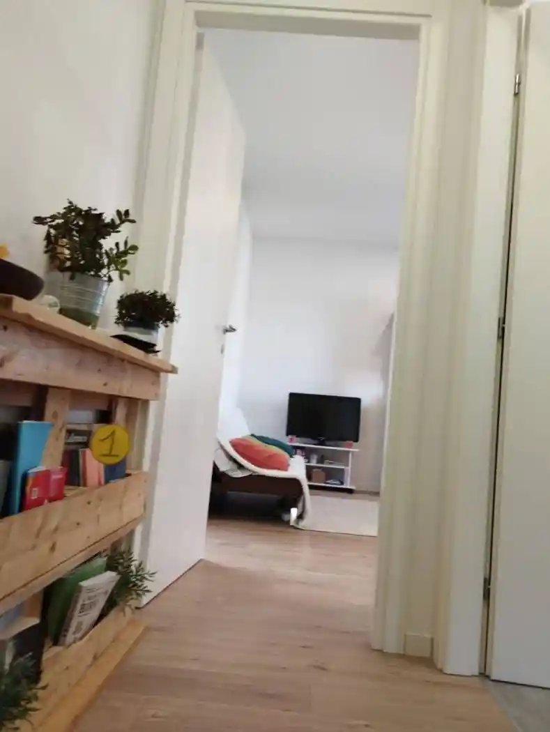 Appartamento in affitto a Grisignano di Zocco