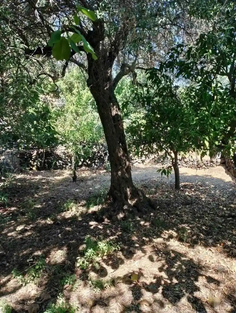 Casa indipendente in vendita a Aci Sant'Antonio