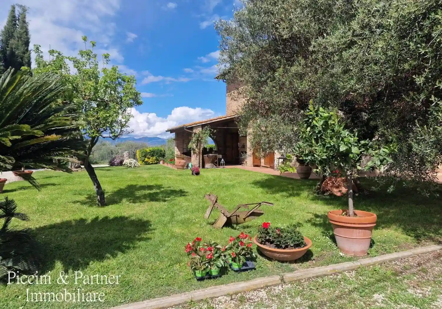 Rustico - Casale - foto 4