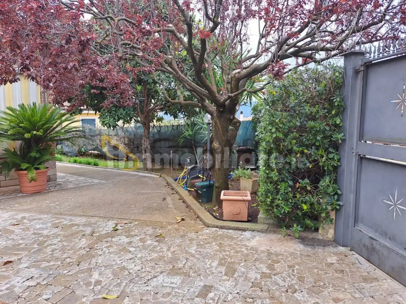 Appartamento in affitto a Colonna