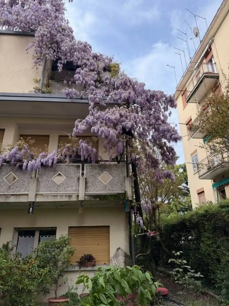 Villa in vendita a Venezia
