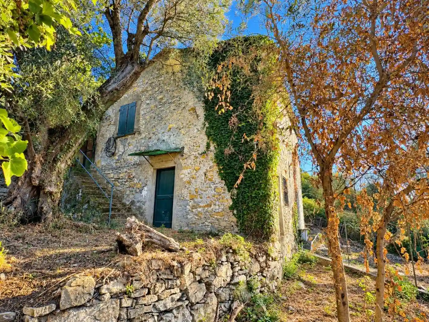 Rustico - Casale - foto 4