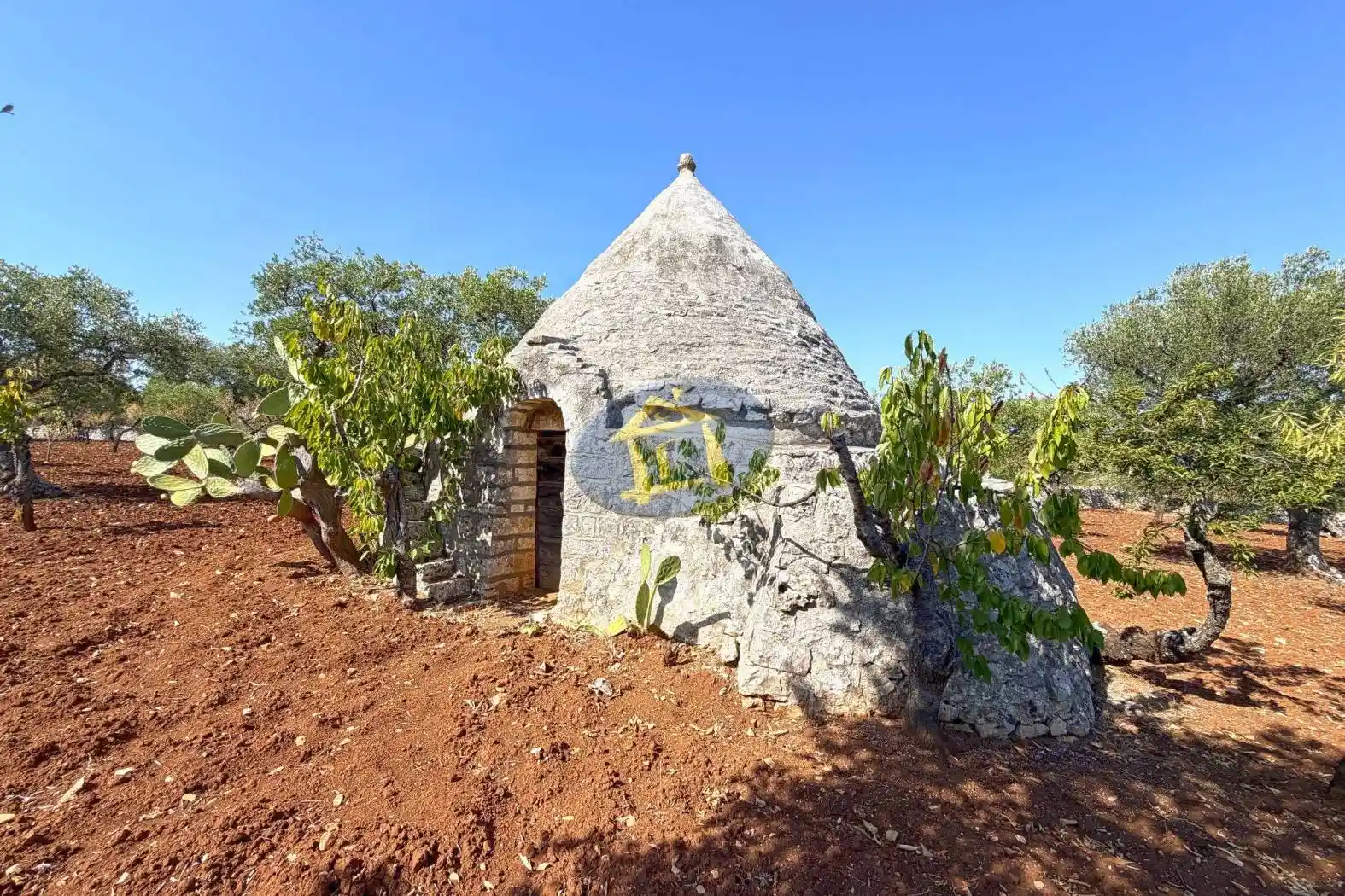 Rustico - Casale in vendita a Castellana Grotte