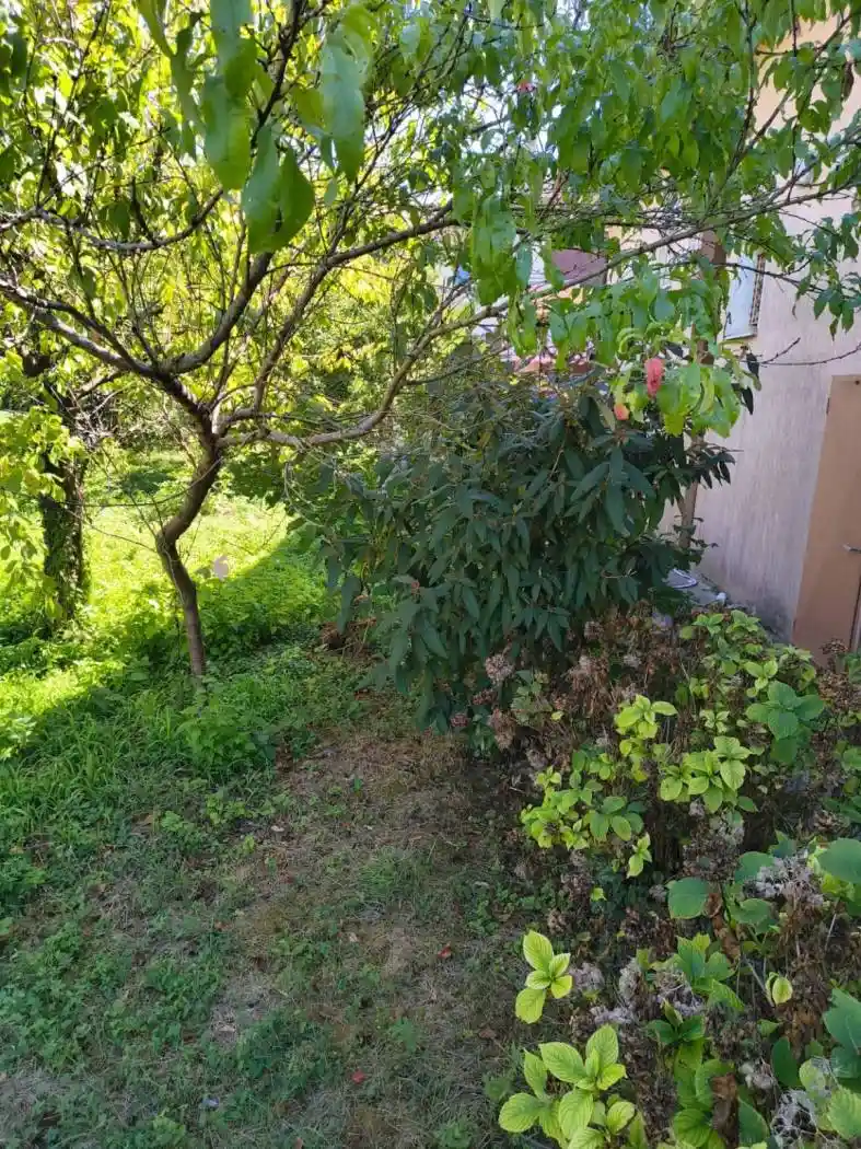 Villa in vendita a Monastier di Treviso