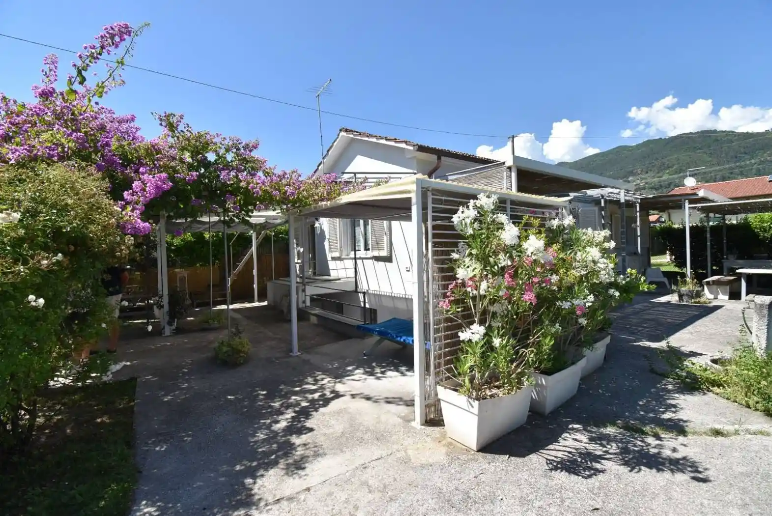 Villa in vendita a Pietrasanta