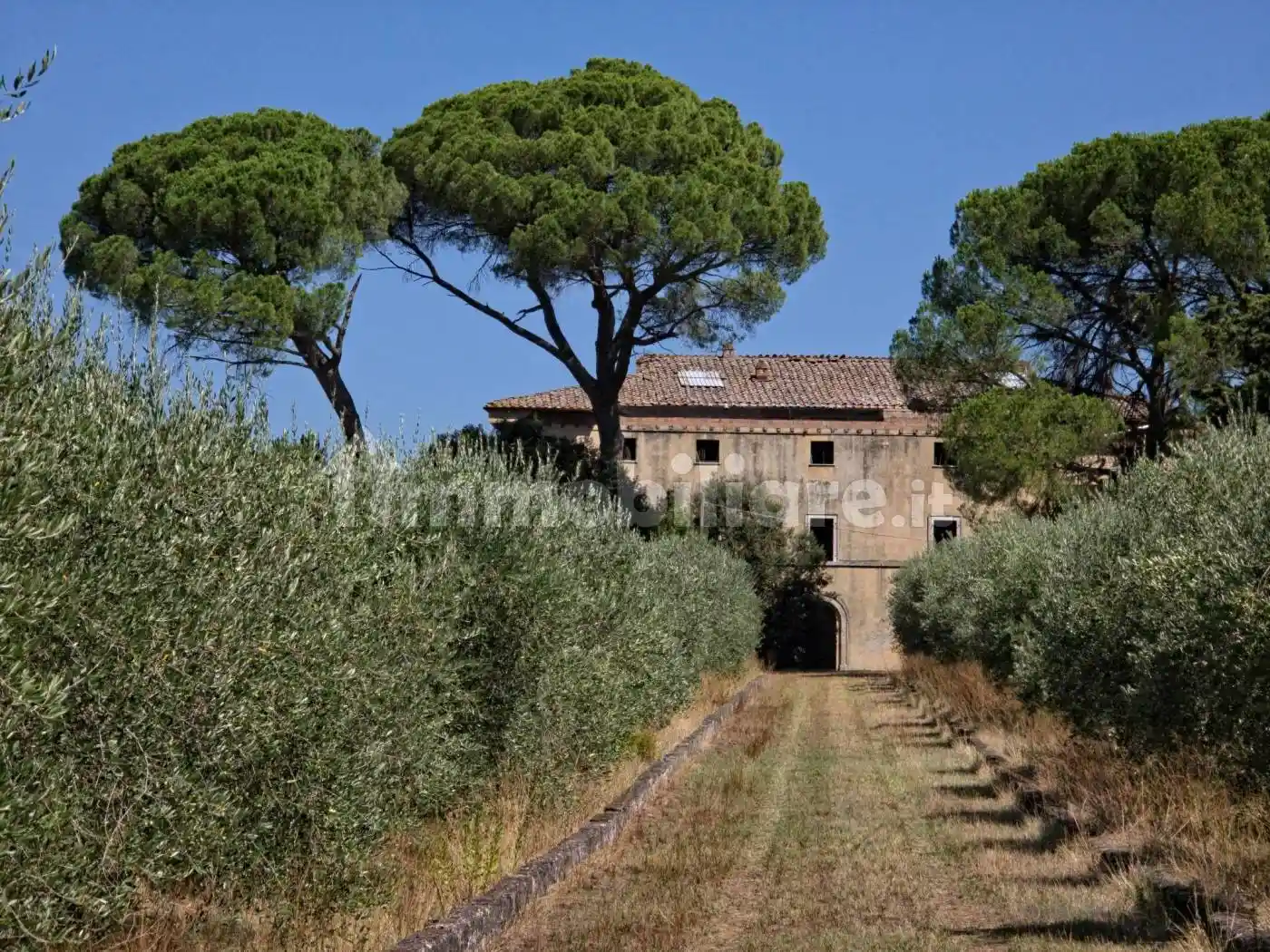 Villa in vendita a Castelnuovo Berardenga