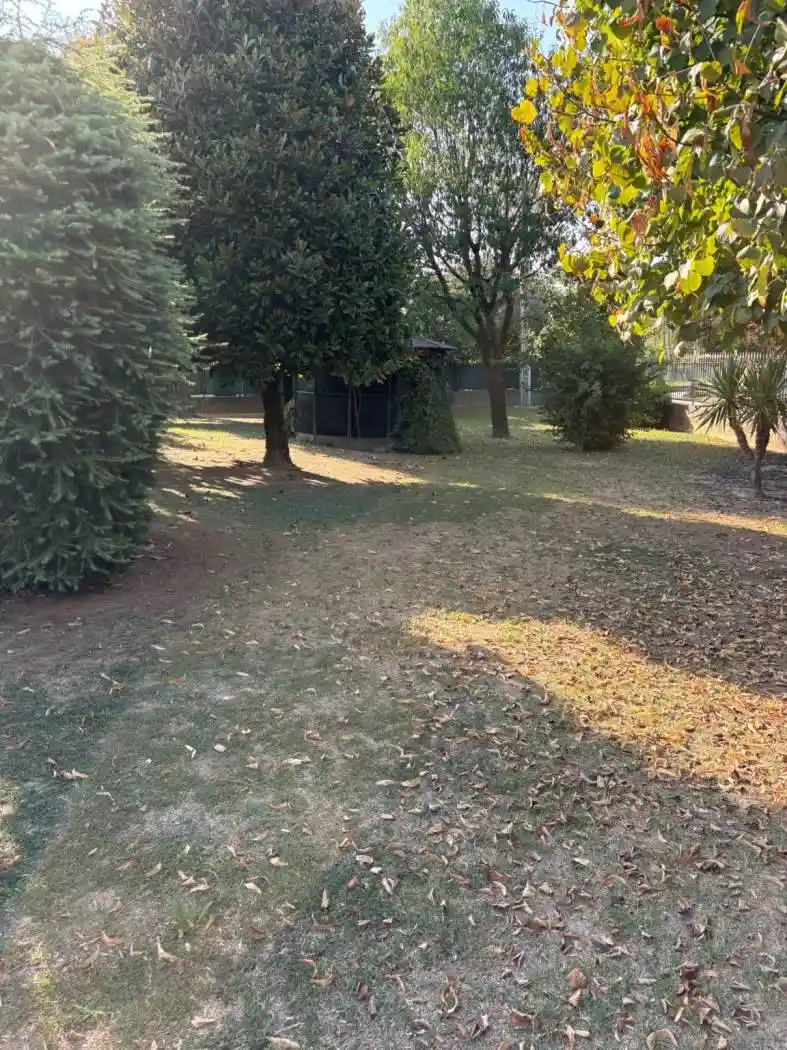 Villa in vendita a Borgoricco
