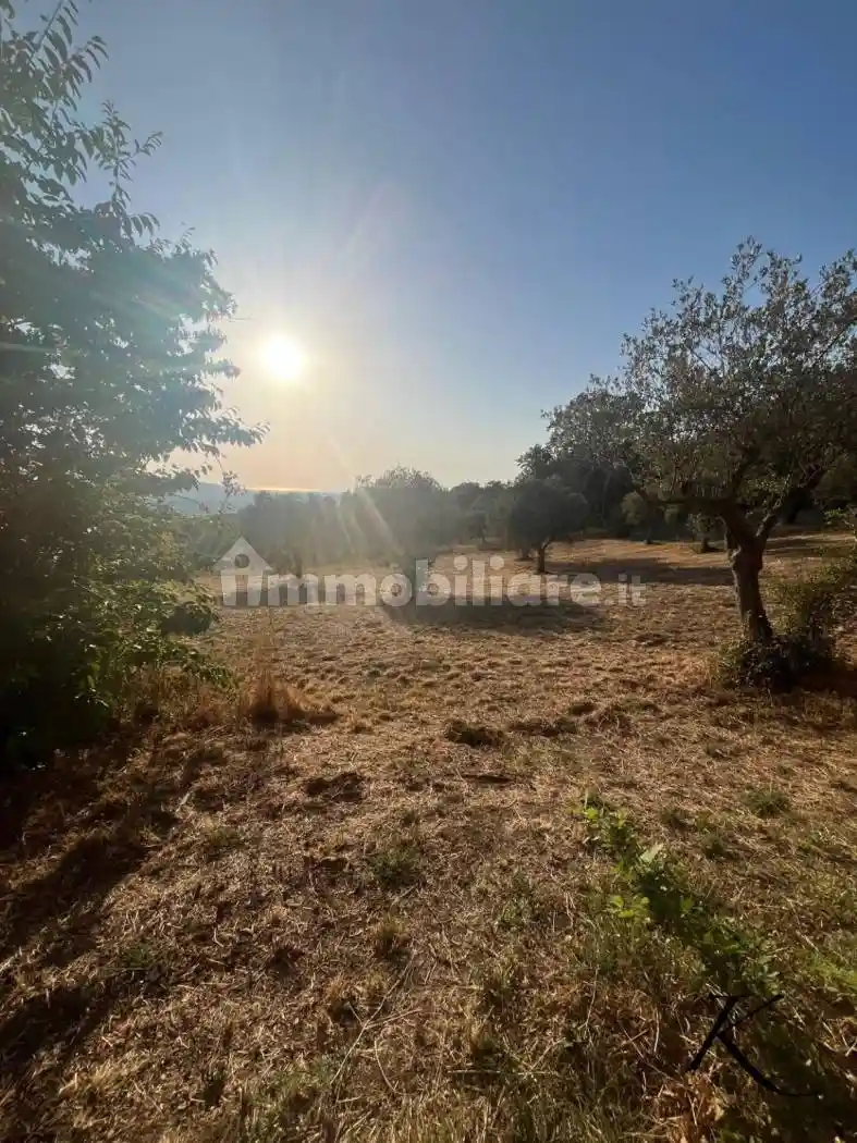 Rustico - Casale in vendita a Albanella