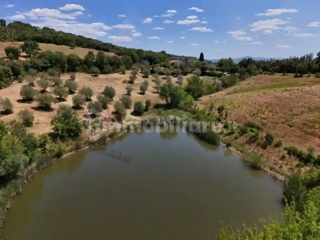 Rustico - Casale - foto 4