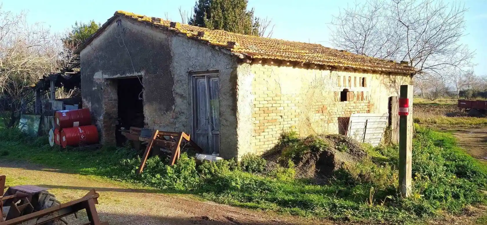 Rustico - Casale in vendita a Bibbona