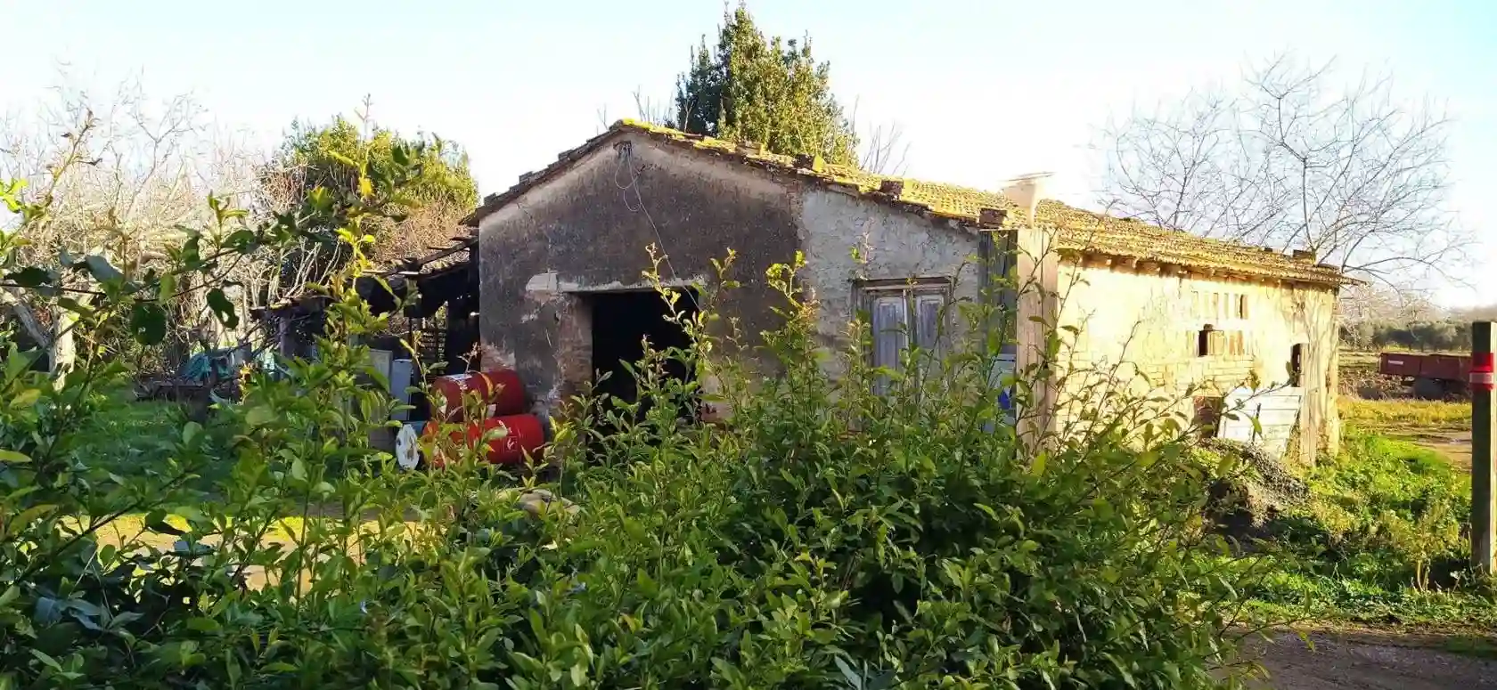Rustico - Casale - foto 3