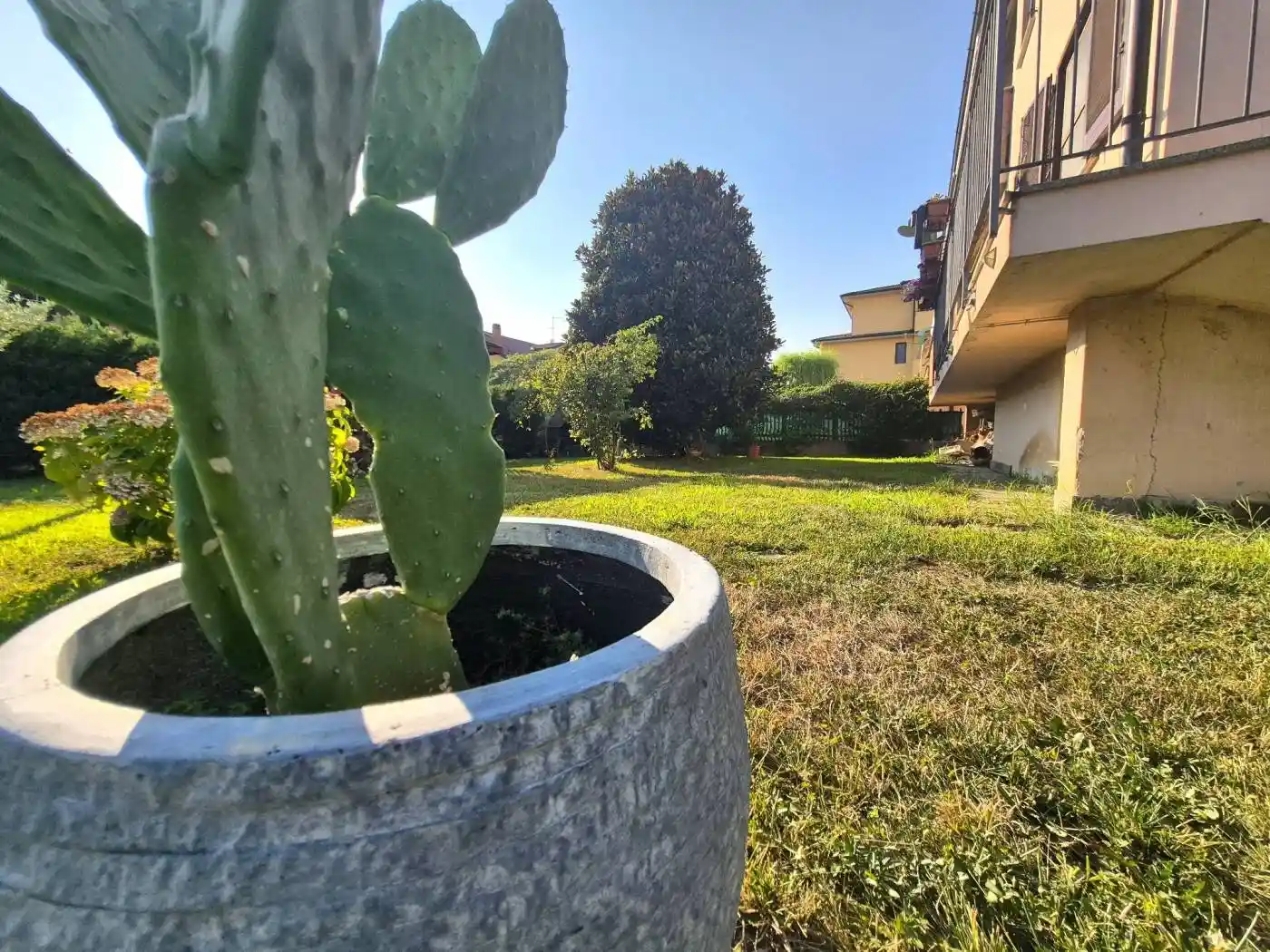 Appartamento in vendita a Torrevecchia Pia