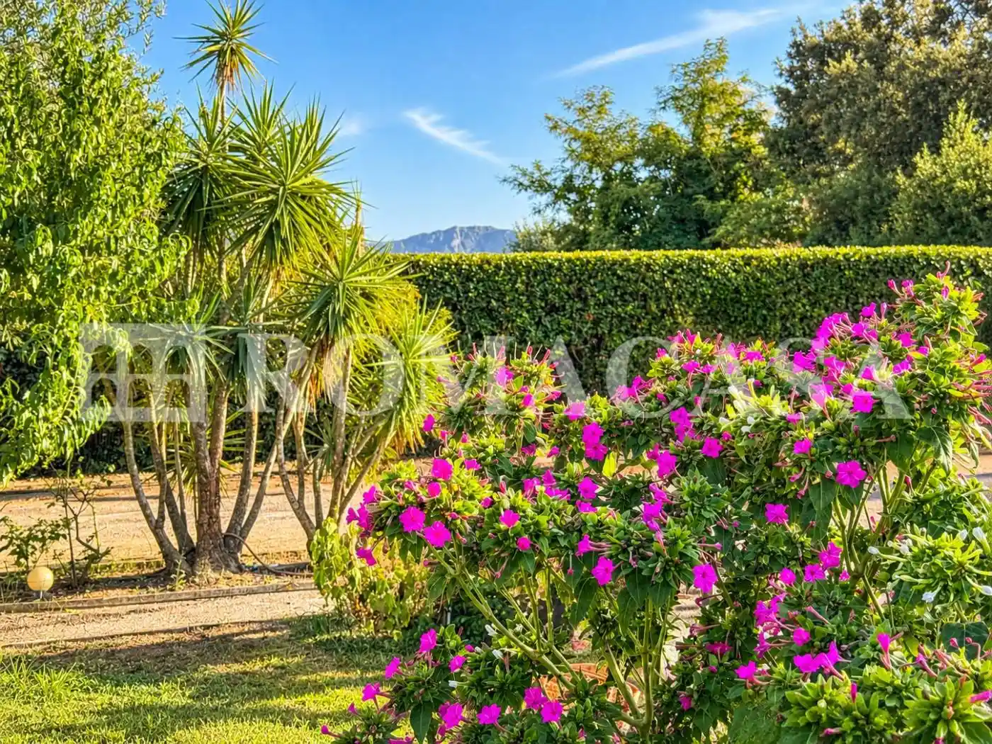 Villa in vendita a Sabaudia