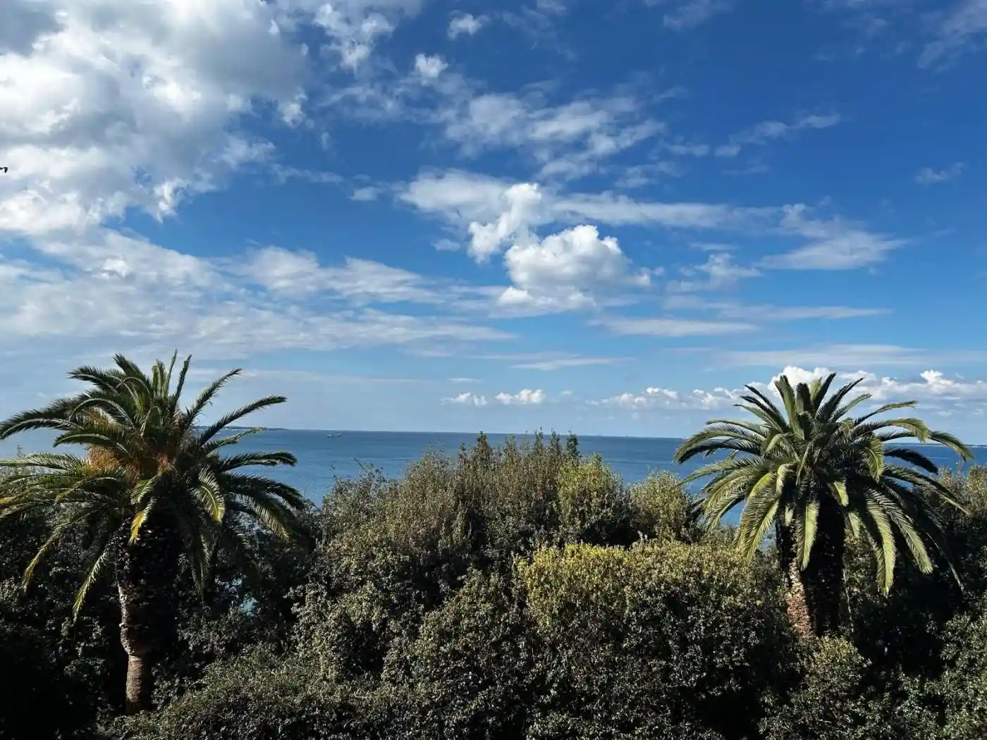 Appartamento in affitto a Taranto