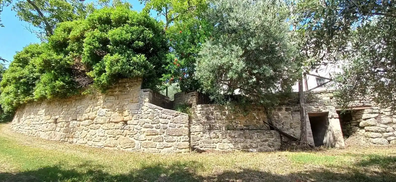 Rustico - Casale in vendita a Castrocaro Terme e Terra del Sole