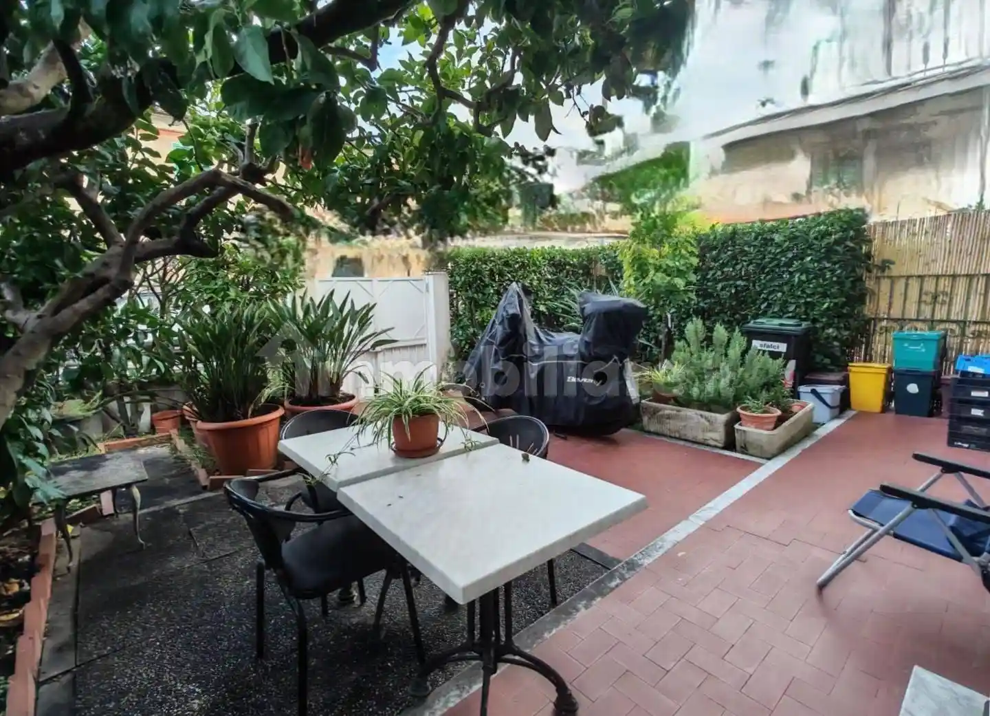 Casa indipendente in vendita a Carrara