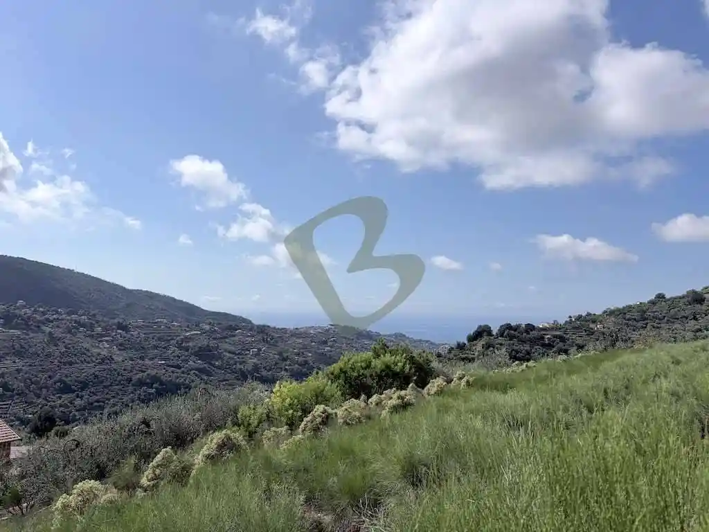 Rustico - Casale in vendita a Vallebona