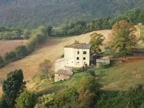 Rustico - Casale in vendita a Chiusdino
