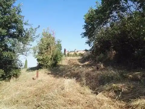 Rustico - Casale in vendita a Monteroni d'Arbia