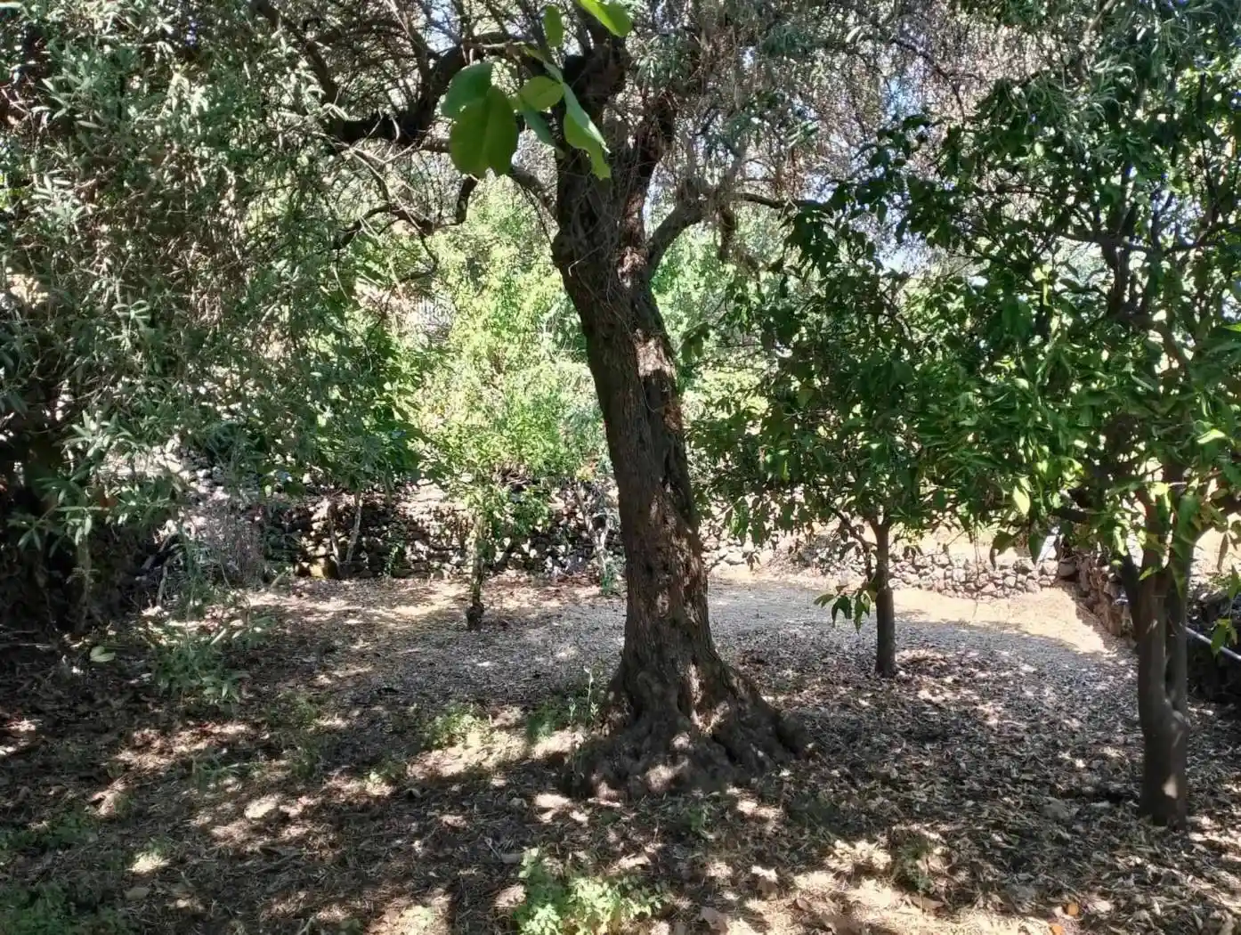 Rustico - Casale in vendita a Aci Sant'Antonio