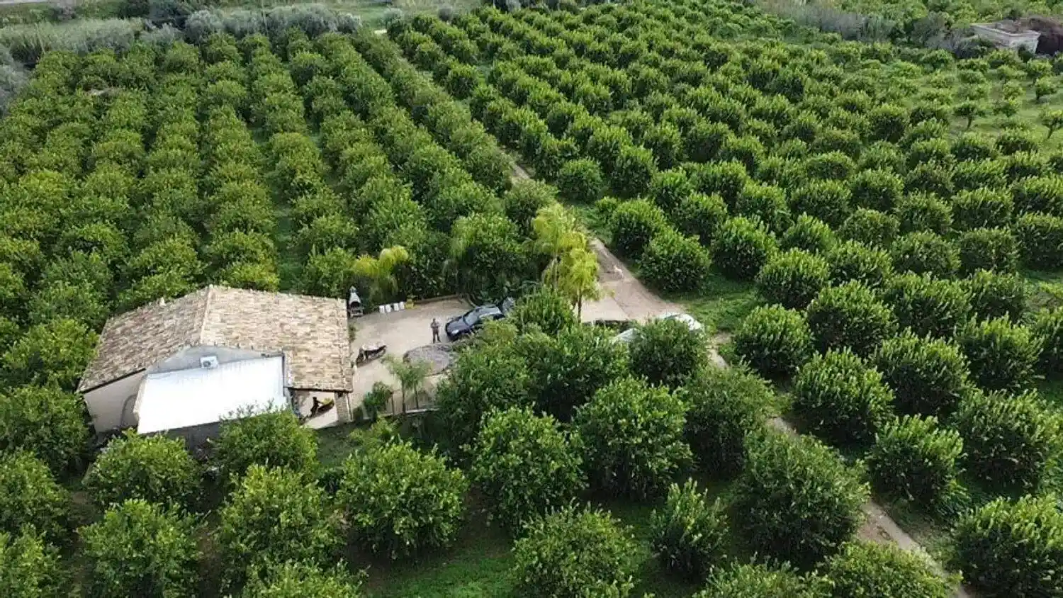 Rustico - Casale in vendita a Noto
