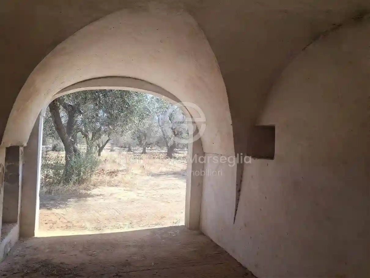 Rustico - Casale - foto 5