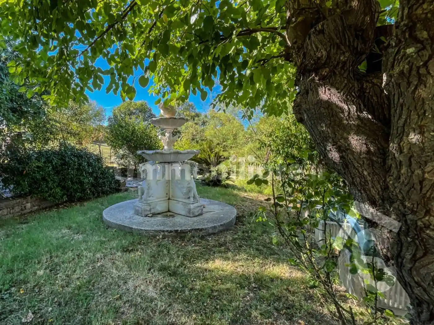 Villa in vendita a Cupramontana