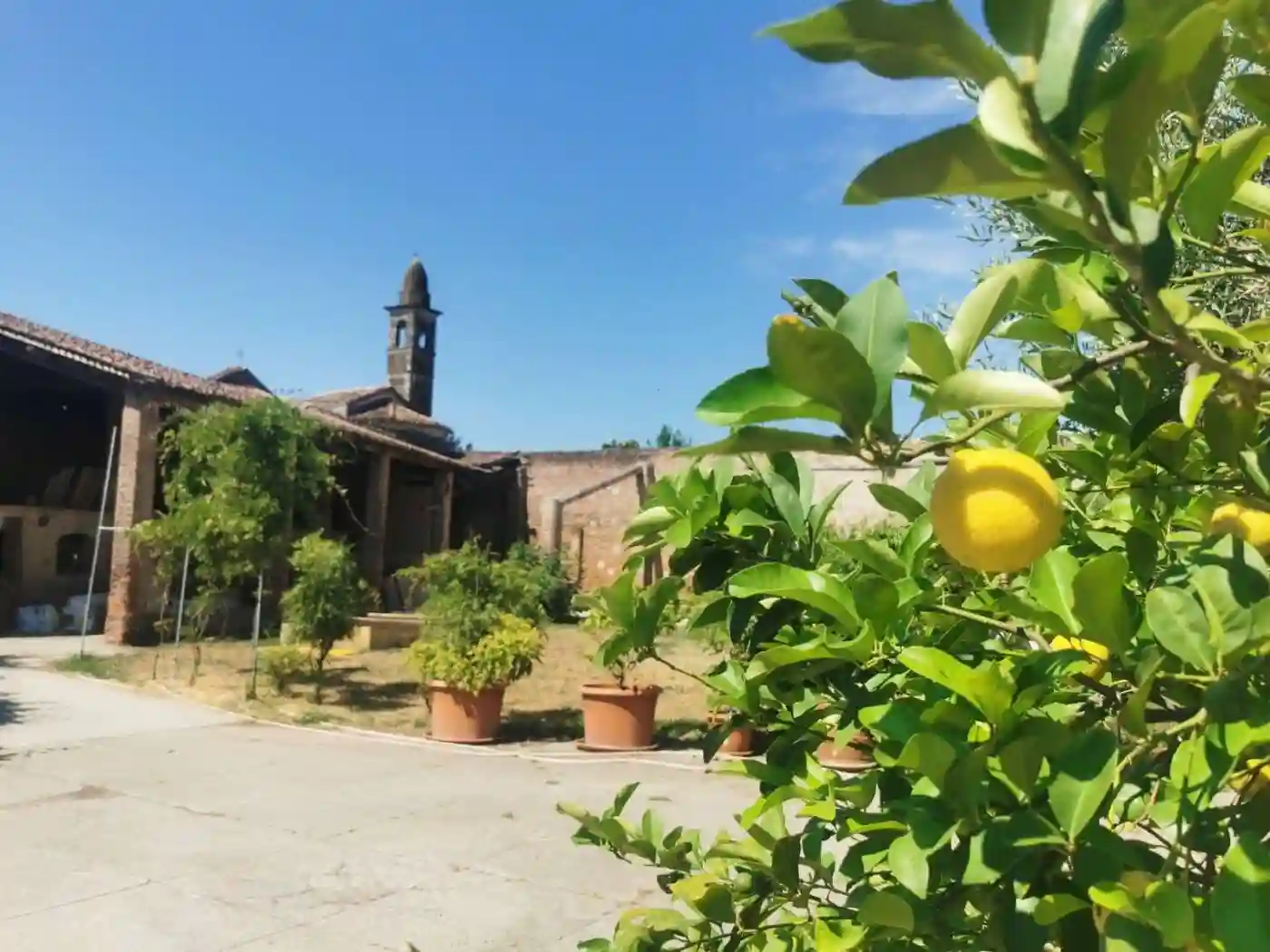 Rustico - Casale - foto 4