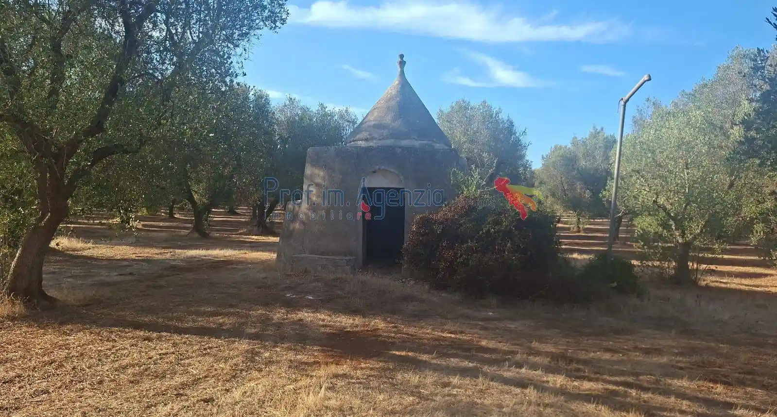 Rustico - Casale in vendita a San Vito dei Normanni