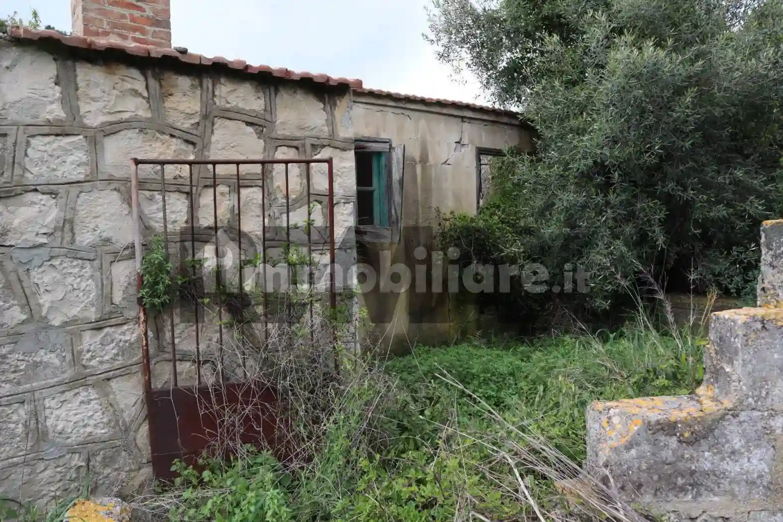 Rustico - Casale - foto 4