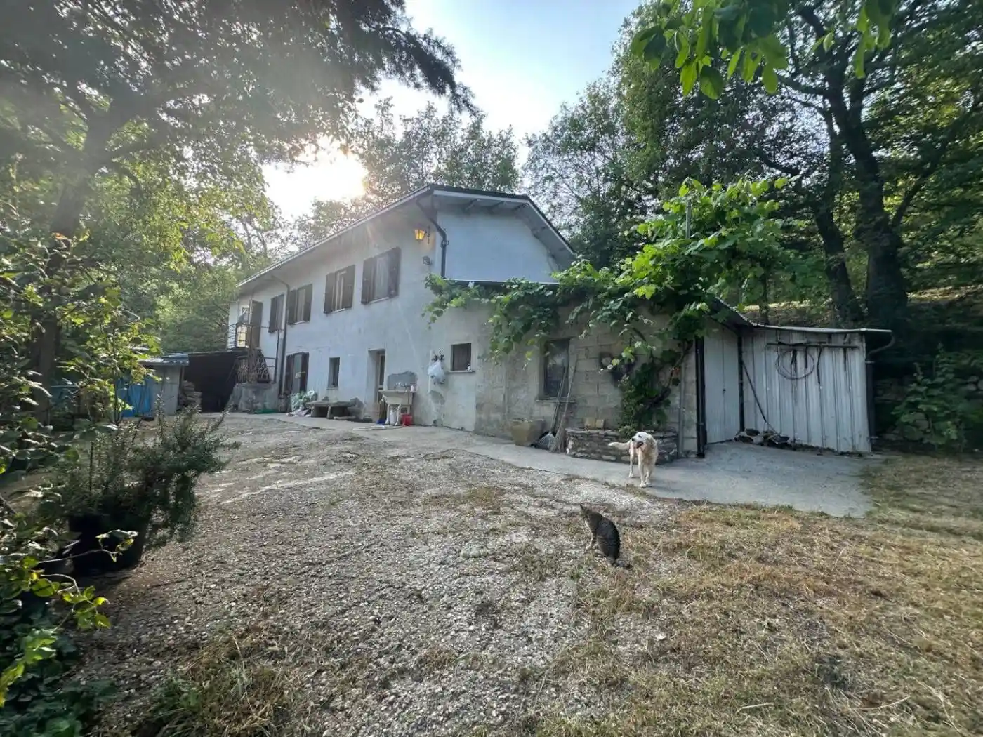 Casa indipendente in vendita a Villa Celiera