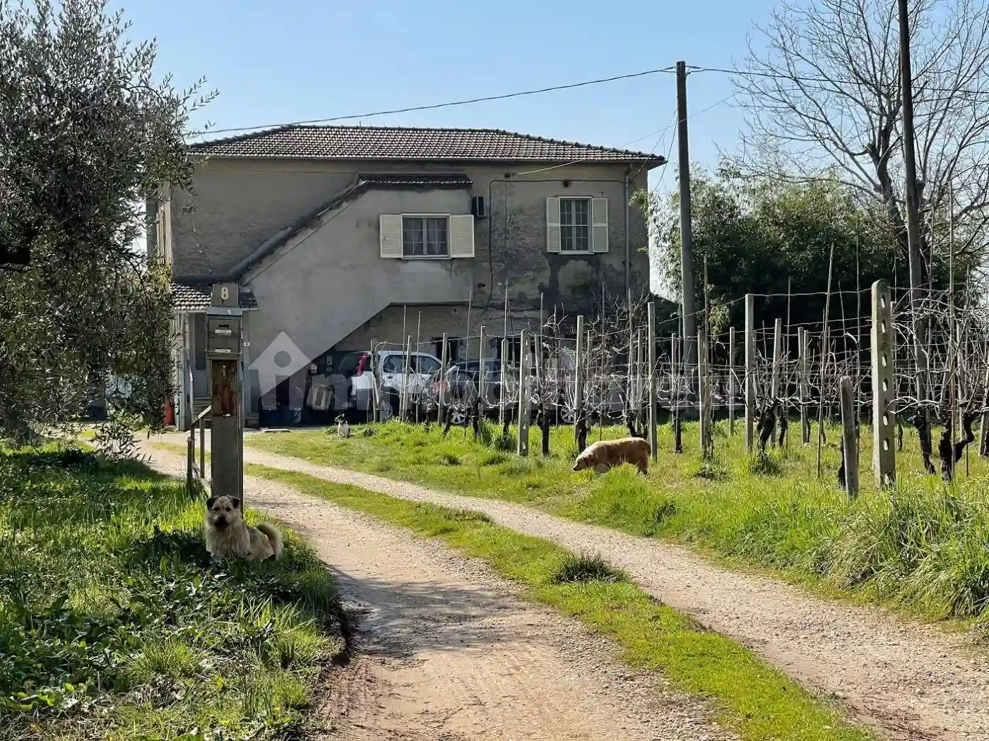 Villa - foto 3