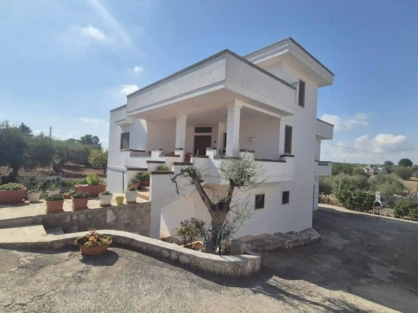 Villa - foto 5