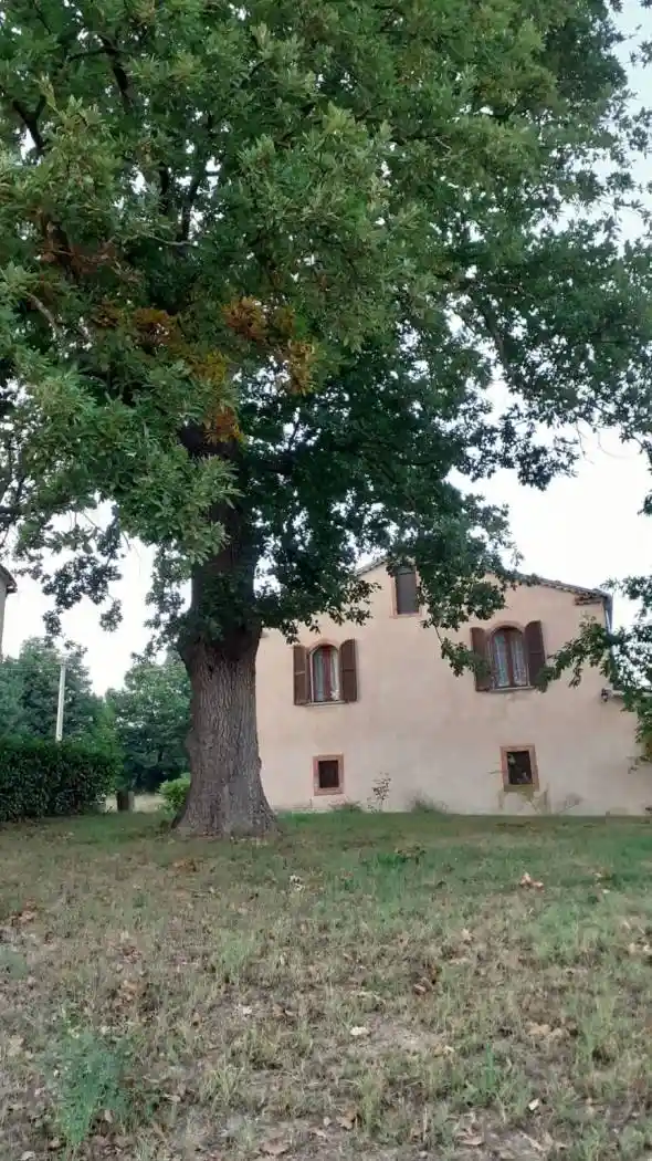Rustico - Casale in vendita a Baranello