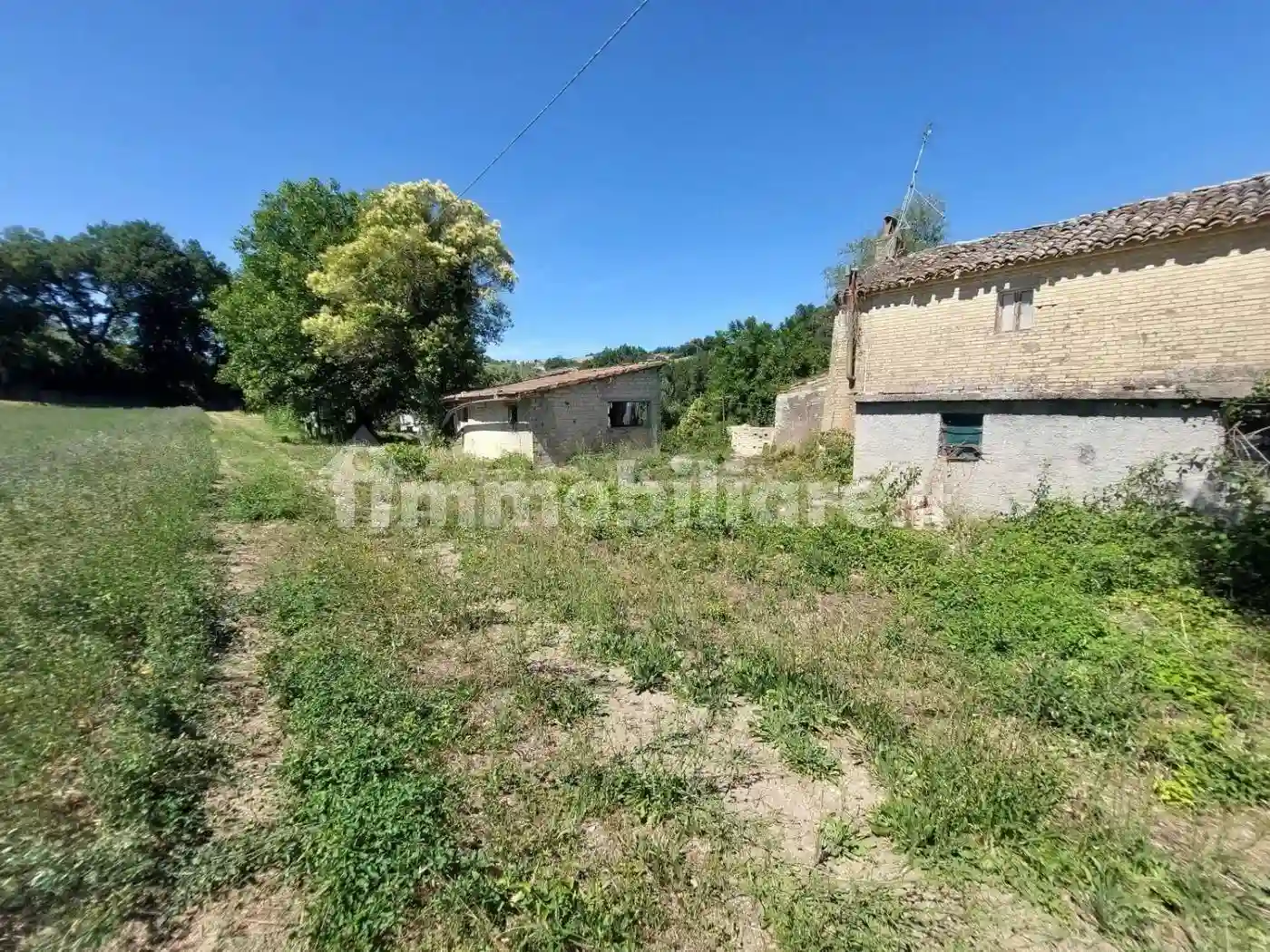 Rustico - Casale - foto 5