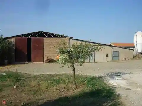 Rustico - Casale in vendita a Scansano