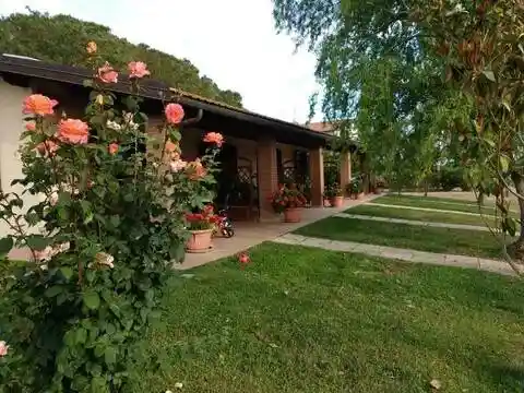 Rustico - Casale in vendita a Grosseto