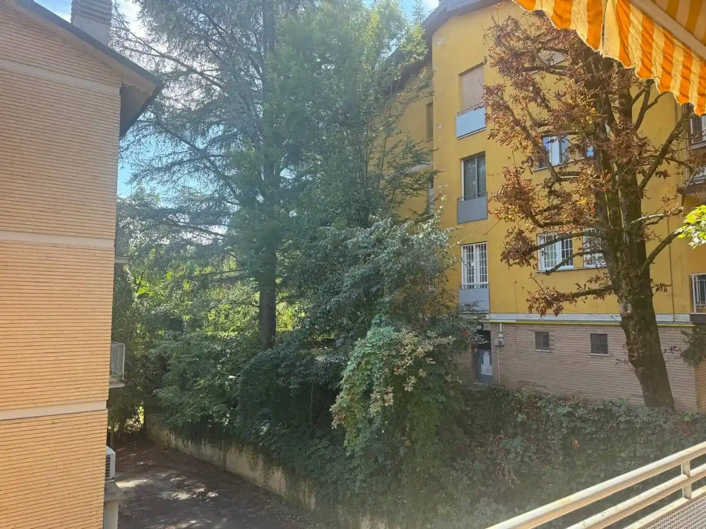 Appartamento in affitto a Bologna