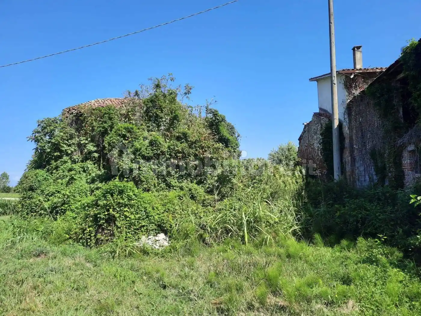 Rustico - Casale in vendita a Trebaseleghe